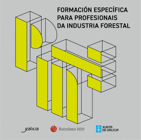 Formación sobre construción con madeira para profesionais da industria forestal