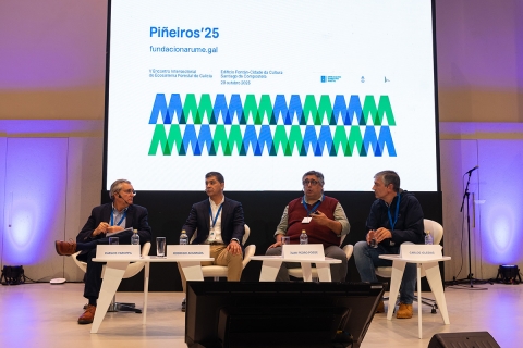 Ponentes durante a mesa redonda sobre 'As doenzas dos pi&ntilde;eiros. Experiencias e lecci&oacute;ns aprendidas desde Am&eacute;rica Latina para Galicia'.